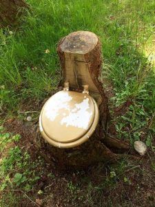 Les astuces pour déboucher des toilettes bouchées par des selles - Proxi- Débouchage